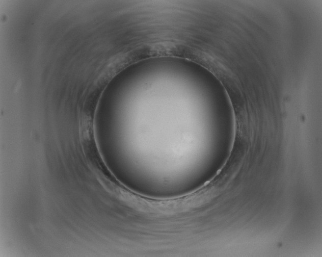 X0000072990038200607211210