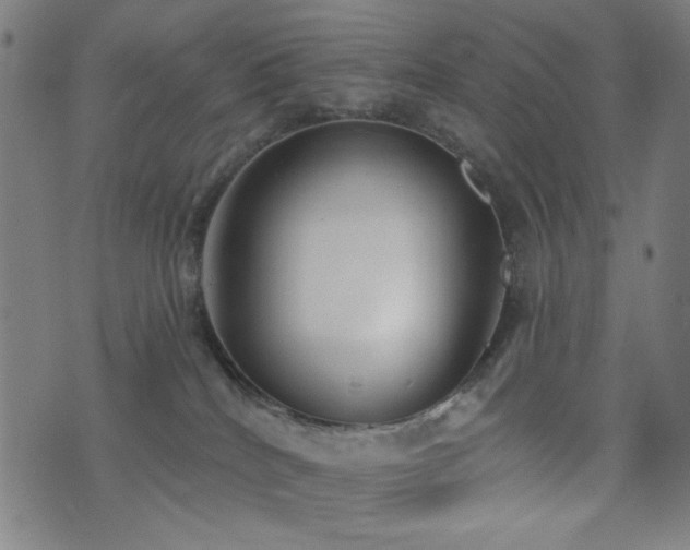 X0000072990040200607211210