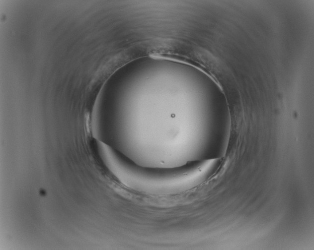 X0000072990041200607211210