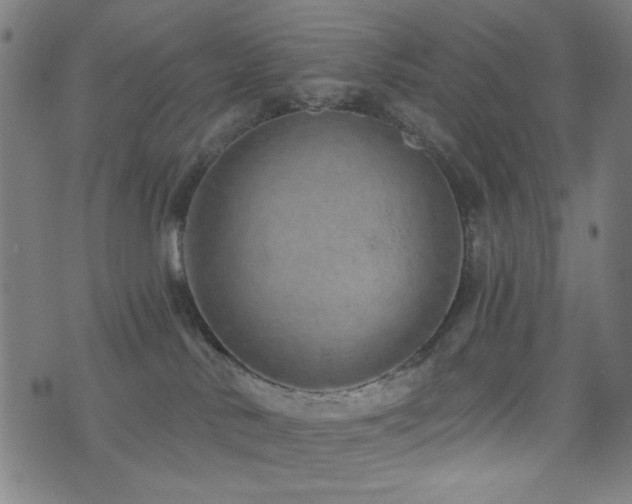 X0000072990042200607211210