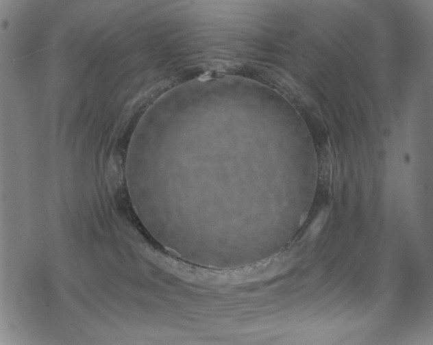 X0000072990043200607211210