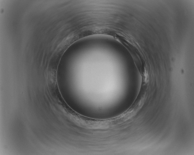 X0000072990044200607211210