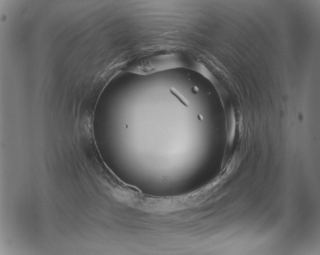 X0000072990045200607211210