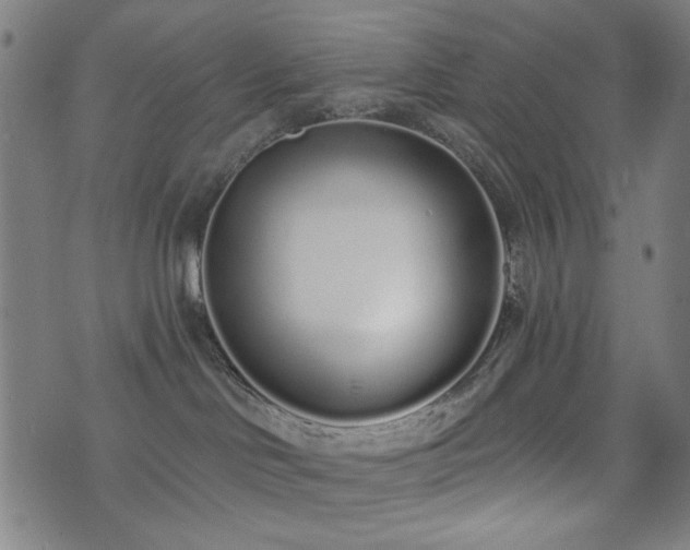 X0000072990046200607211210