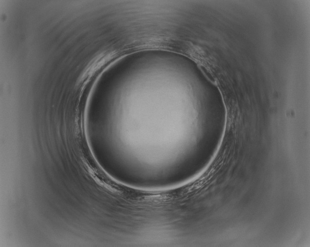 X0000072990050200607211209