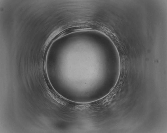 X0000072990051200607211209