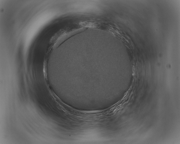 X0000072990052200607211209