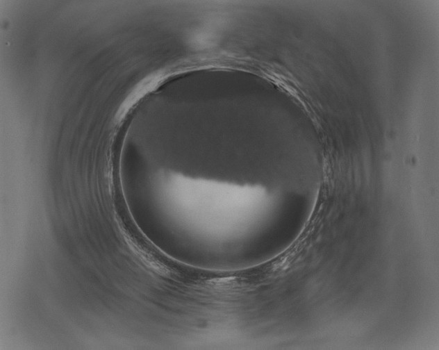 X0000072990054200607211209