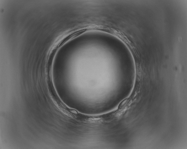 X0000072990055200607211209