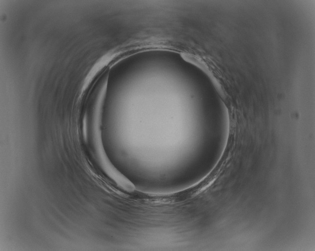 X0000072990056200607211209