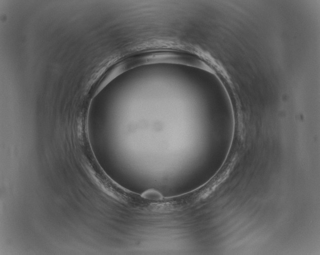 X0000072990057200607211209