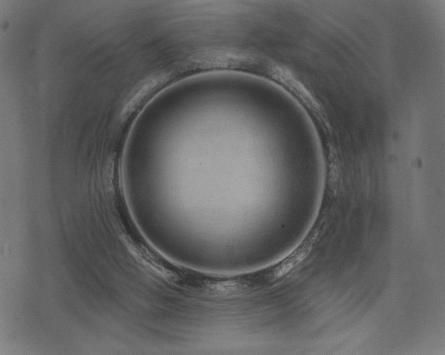 X0000072990058200607211209