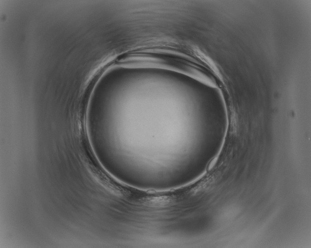 X0000072990059200607211209