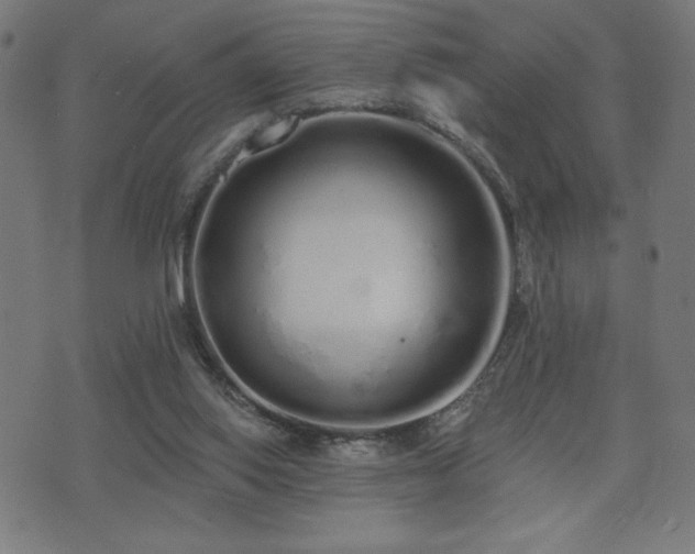 X0000072990062200607211209