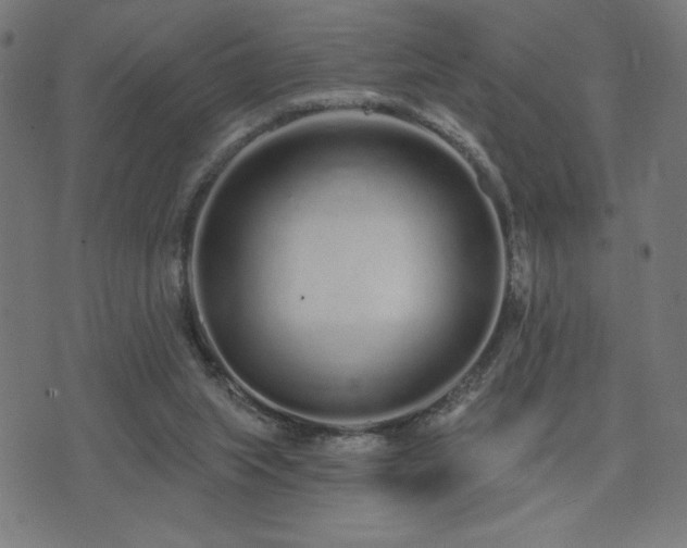 X0000072990063200607211209