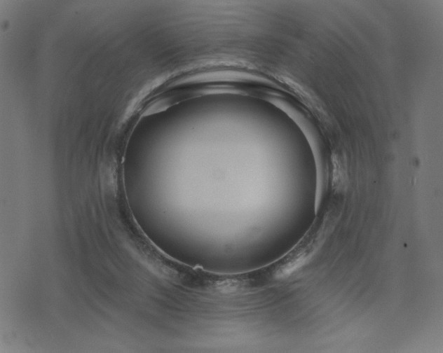 X0000072990064200607211209