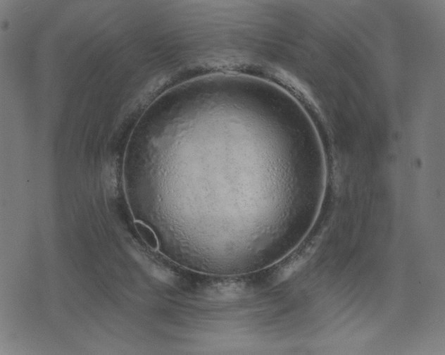 X0000072990065200607211209