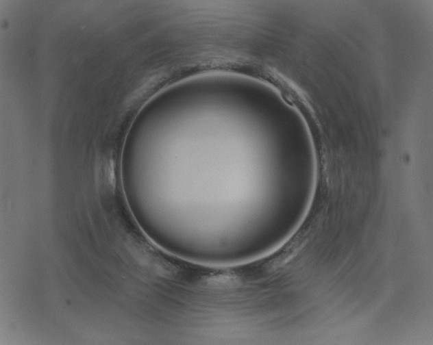 X0000072990067200607211209