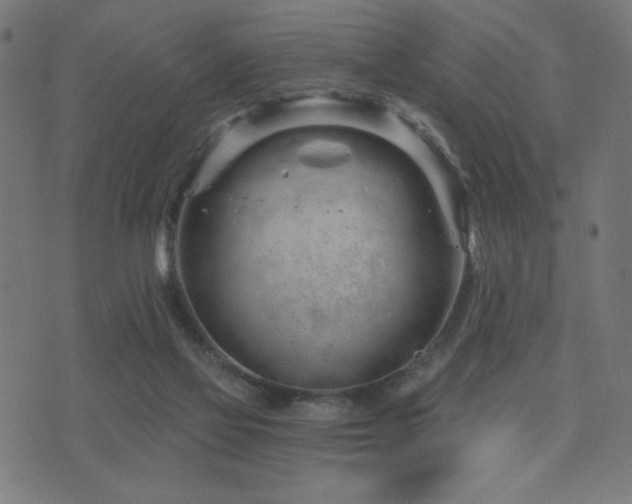 X0000072990069200607211209