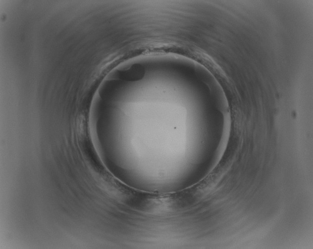 X0000072990071200607211209