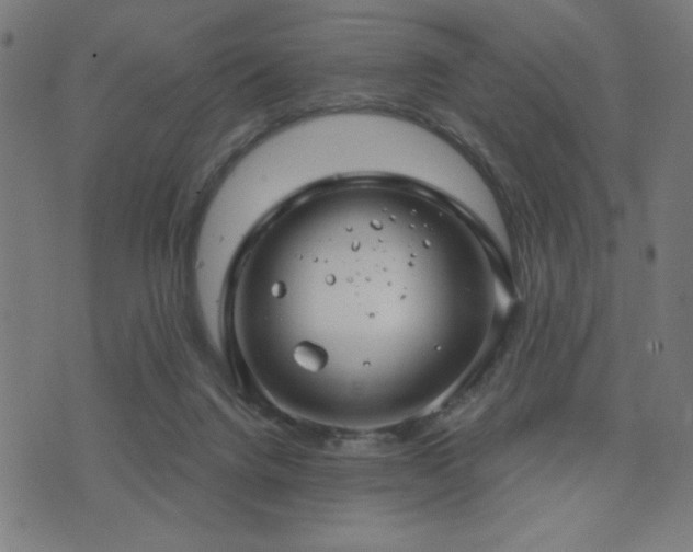 X0000072990072200607211209