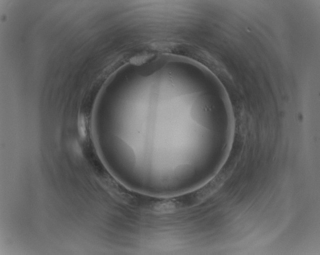 X0000072990075200607211209