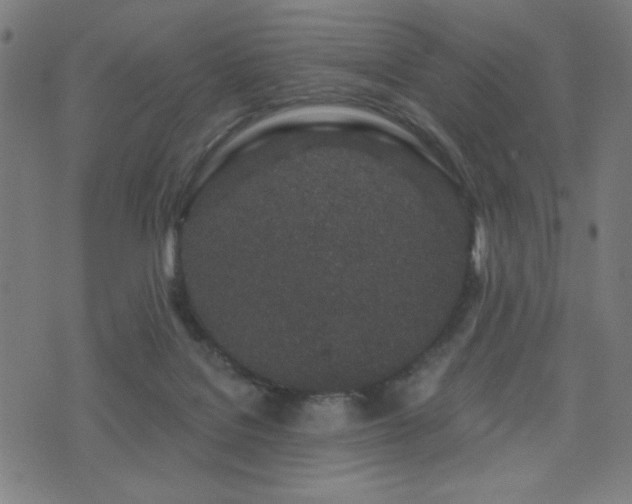 X0000072990076200607211209