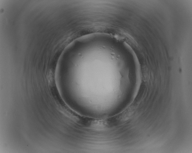 X0000072990077200607211209