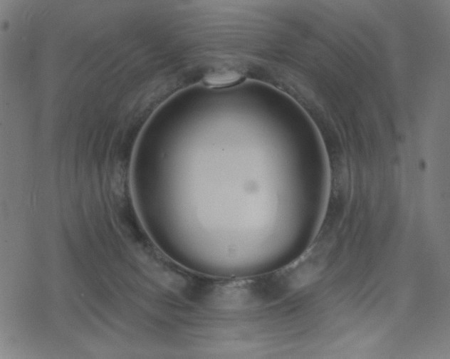 X0000072990078200607211209