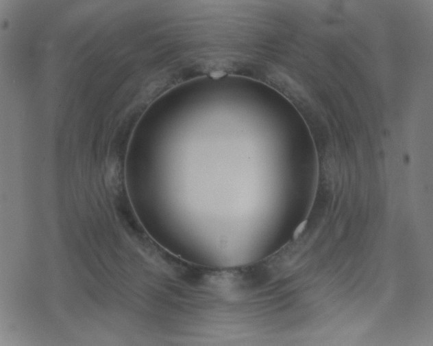 X0000072990079200607211209