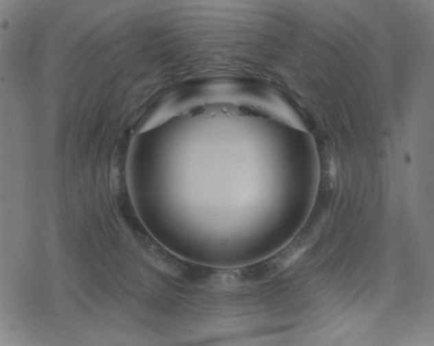 X0000072990080200607211209