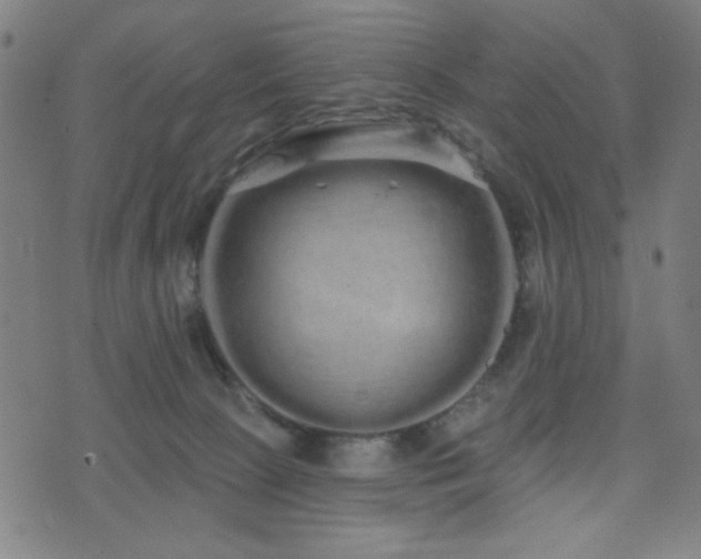 X0000072990081200607211209