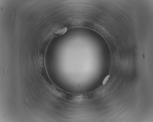 X0000072990083200607211209