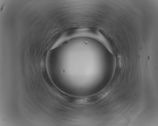 X0000072990084200607211209