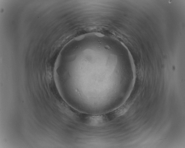 X0000072990085200607211209