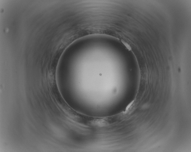 X0000072990086200607211209