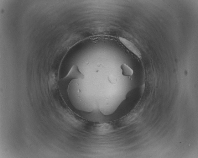 X0000072990087200607211210