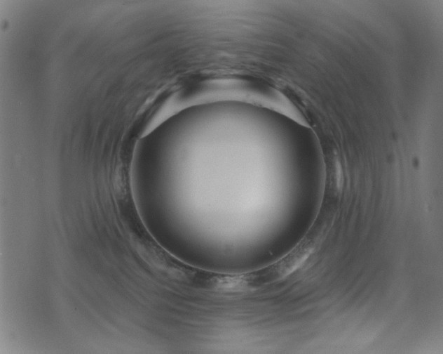 X0000072990088200607211210