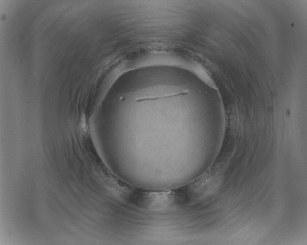 X0000072990089200607211210