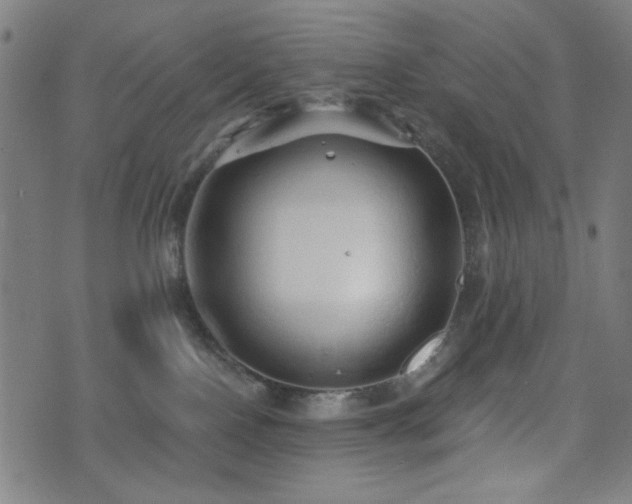 X0000072990090200607211210