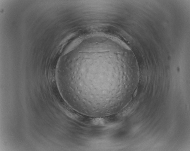 X0000072990091200607211210