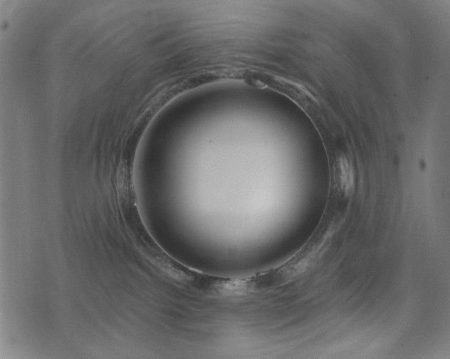 X0000072990092200607211210