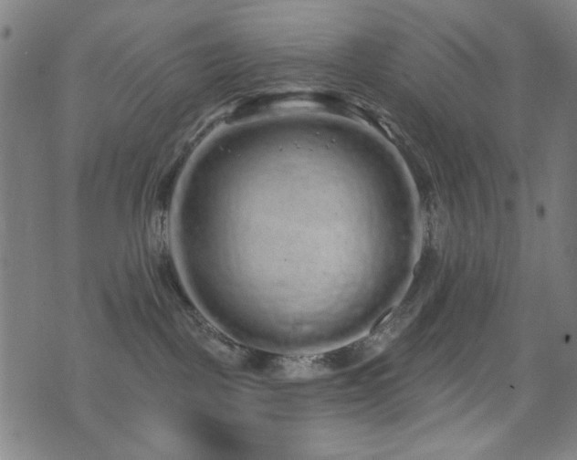 X0000072990093200607211210