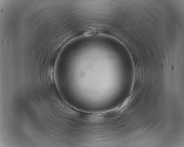 X0000072990094200607211210