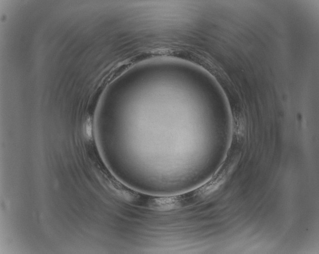 X0000072990095200607211210