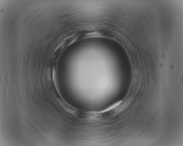 X0000072990096200607211210