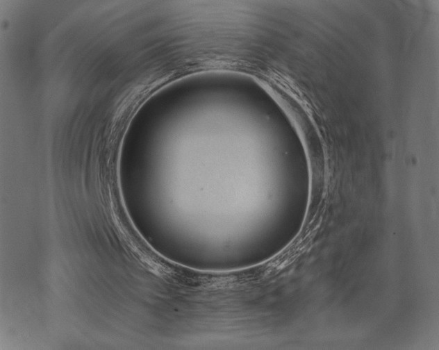 X0000072990097200607211209