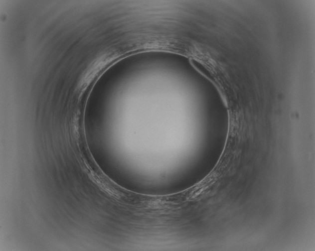 X0000072990098200607211209