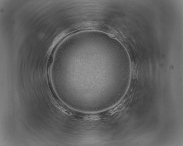 X0000072990099200607211209