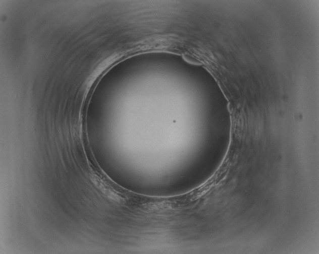 X0000072990100200607211209